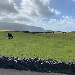 Casa Bela Vista * Ponta Delgada (Flores)