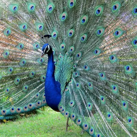 Ferienhaus Casa Bela Vista