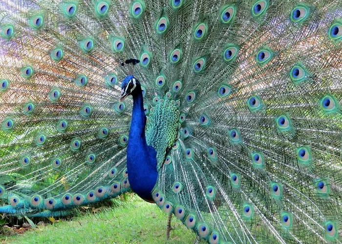 Casa vacanze Casa Bela Vista