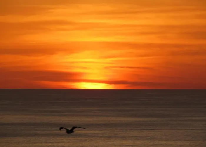 Casa Bela Vista Casa vacanze Ponta Delgada (Flores)